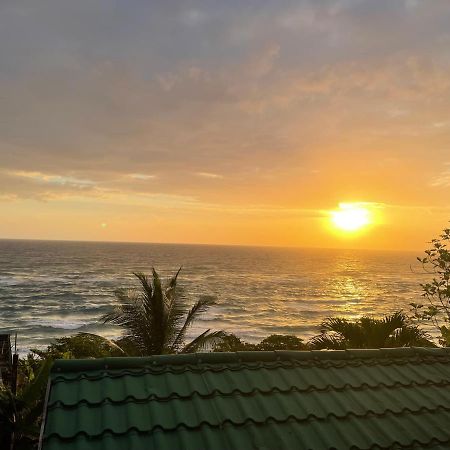 Villa Rasta - Ocean View Bungalows Port Antonio Exteriér fotografie