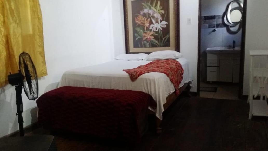 Villa Rasta - Ocean View Bungalows Port Antonio Exteriér fotografie